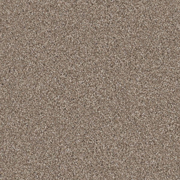 Dixie Home Admiration Mocha