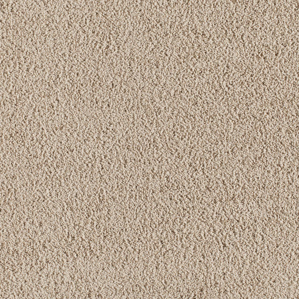 Milliken Carpets Empire Suite Paramount