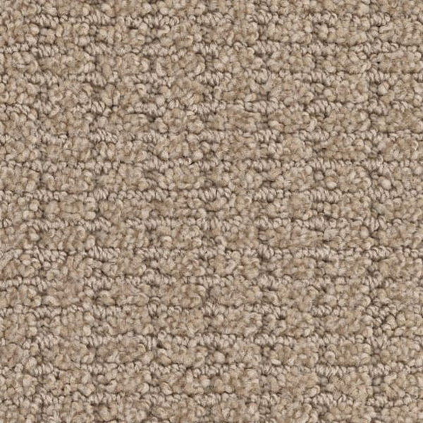 Masland Carpets Defined Portabello Masland