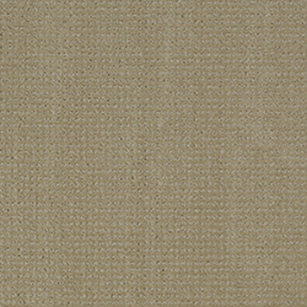 Tarkett Home Carpets Manhattan Relaxed Khaki LEXMARK