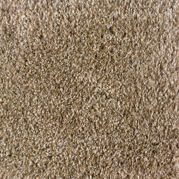 Stanton Carpet Shaggy Plush Sand Stanton