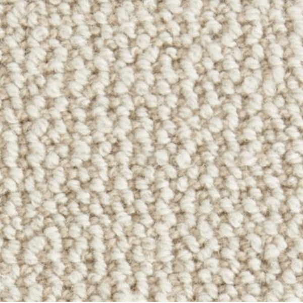 Stanton Carpet Shawnee Shell Stanton