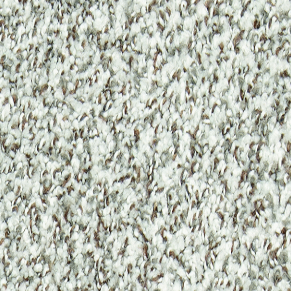 Mohawk Carpet Natural Opulence I Silence Mohawk