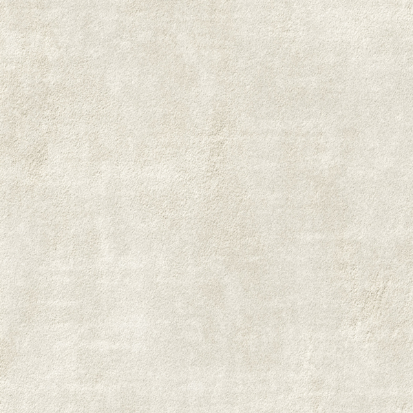 Kane Carpet Perfection Specialty KANE