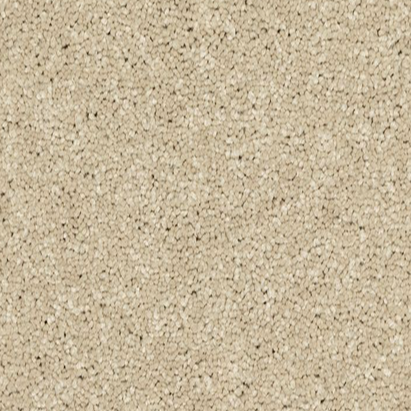 Horizon Carpet Modern Story II Stone Lion Mohawk