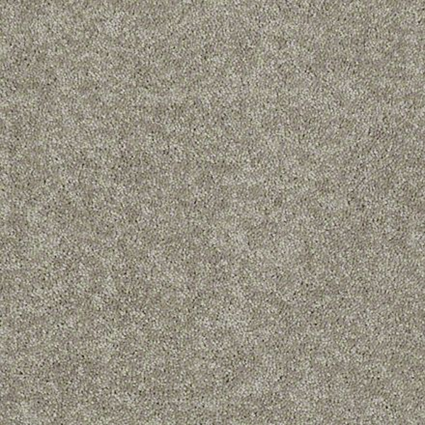 Shaw Floors Dyersburg Classic 15' Taupe Mist SHAW