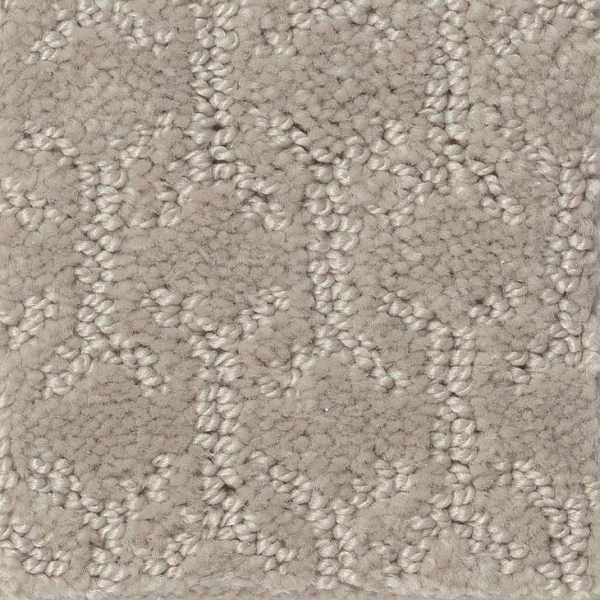 Shaw Floors Valid Twine SHAW