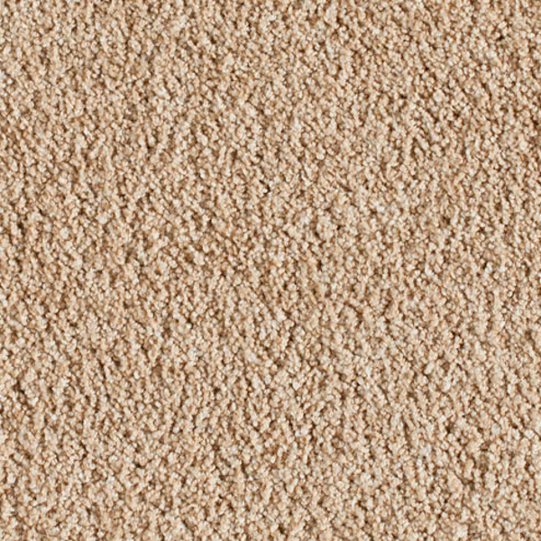 Milliken Carpets Crown Suite Warm Palette