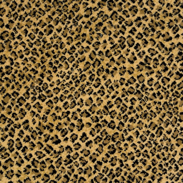 Stanton Carpet Serengeti Wildroot Stanton