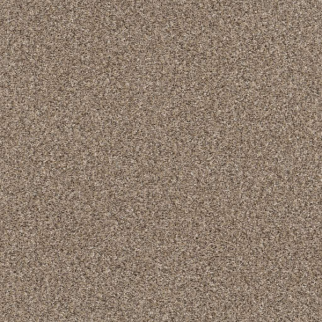 Shaw Floors Yes You Can III 12' Sea Shell SHAW