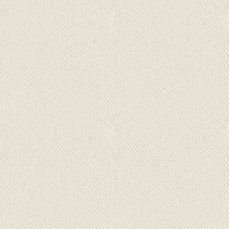 Shaw Floors Mainstay Serene Still SHAW