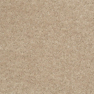 Shaw Floors Briceville Classic 15' Adobe SHAW