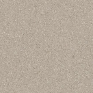 Shaw Floors Solidify II 15 Dreamy SHAW
