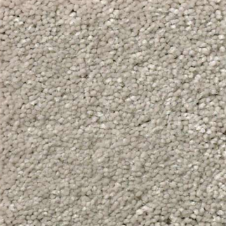 Shaw Floors Solidify II 12 Greige SHAW