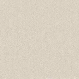 Shaw Floors Way To Go II Antique Ivory SHAW