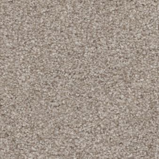 Shaw Floors Harmonious II Fossil Path SHAW