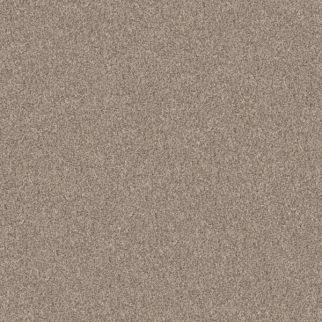Shaw Floors Yes You Can III 15' Natural SHAW