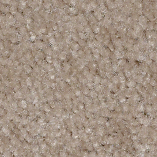 Shaw Floors XV071 Desert Breeze SHAW