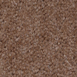 Shaw Floors XV071 Falcon Crest SHAW