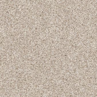 Shaw Floors Harmonious III Champagne Toast SHAW