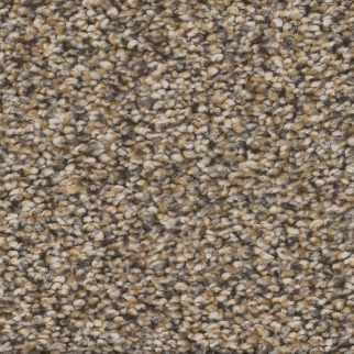 Shaw Floors Artistic Fusion I Honeycomb SHAW