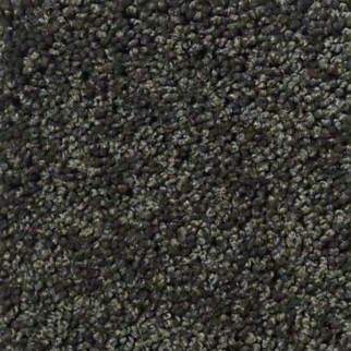 Shaw Floors Enduring Comfort III Magic Emerald SHAW
