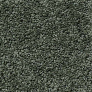Shaw Floors My Choice III Bay Laurel SHAW