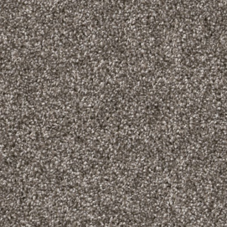 Shaw Floors Yes You Can II 12' Ashes SHAW