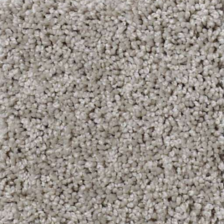 Shaw Floors My Choice III Ash SHAW