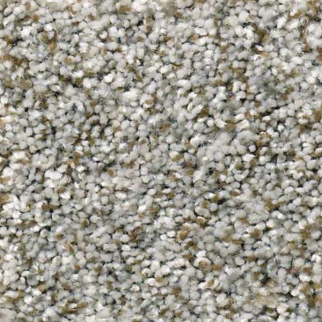 Shaw Floors Cabana Life Berber Stone SHAW