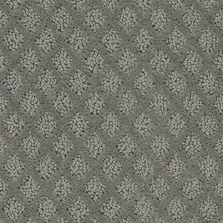 Shaw Floors Entwined With You Metal SHAW
