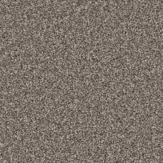 Shaw Floors Remixed Classic Nature Trail SHAW