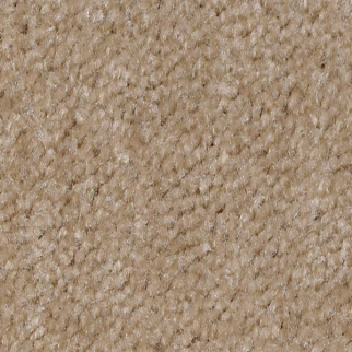 Shaw Floors XV071 Sand Shell SHAW