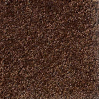 Shaw Floors Magic At Last I 12' Cocoa SHAW