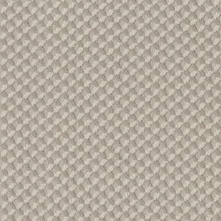 Tuftex Inspired Design Sandstone SHAW