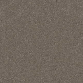 Shaw Floors Hard At Play III 15' Cobblestone SHAW