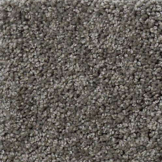 Shaw Floors My Choice III Graphite SHAW