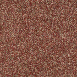 Shaw Floors Invincible 28 Raisinberry SHAW