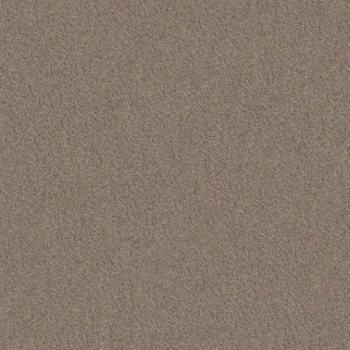 Shaw Floors Canyon Lake Mesa Taupe SHAW