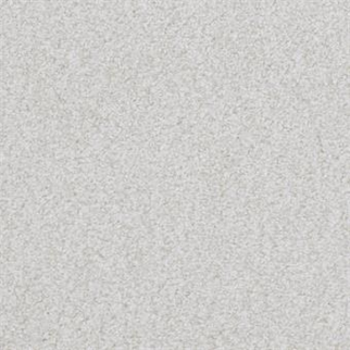 Masland Carpets Boca Raton Trustworthy Masland