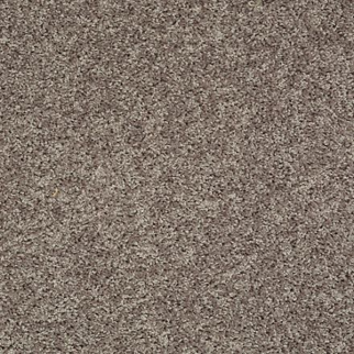 Shaw Floors Sensational Gray SHAW