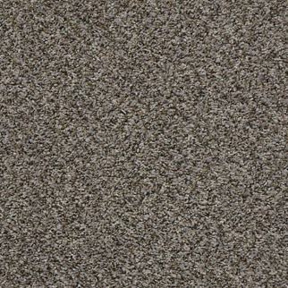 Shaw Floors Sensational Taupe SHAW