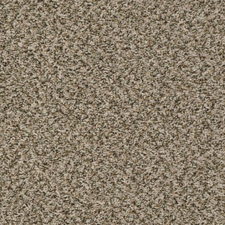 Shaw Floors Sensational Heathered SHAW