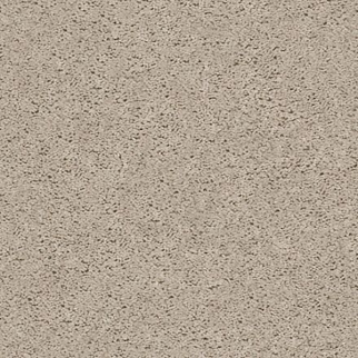 Shaw Floors Sensational Illusion SHAW