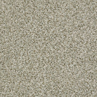Shaw Floors Sensational Ecru SHAW