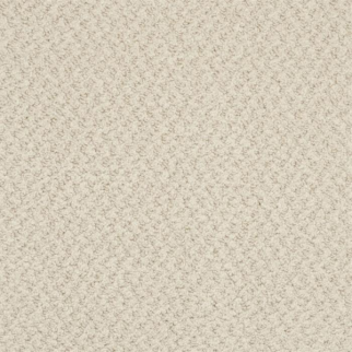 Masland Carpets New Hope Moonbeam Masland
