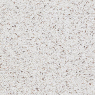 Masland Carpets St Augustine Absolute Masland