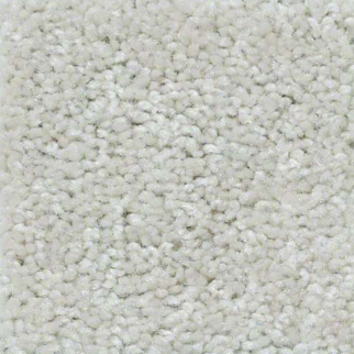 Shaw Floors QS407 07100 SHAW