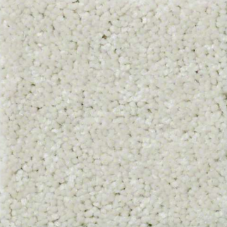 Shaw Floors QS407 07101 SHAW