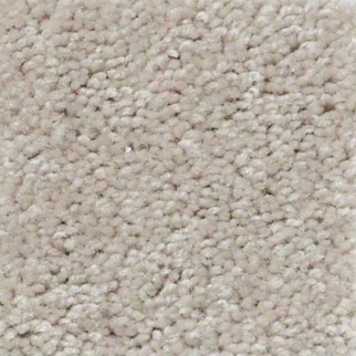 Shaw Floors QS407 07103 SHAW